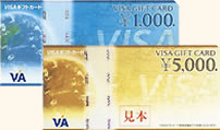 VISA VISA
